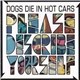 Dogs Die In Hot Cars - Please Describe Yourself